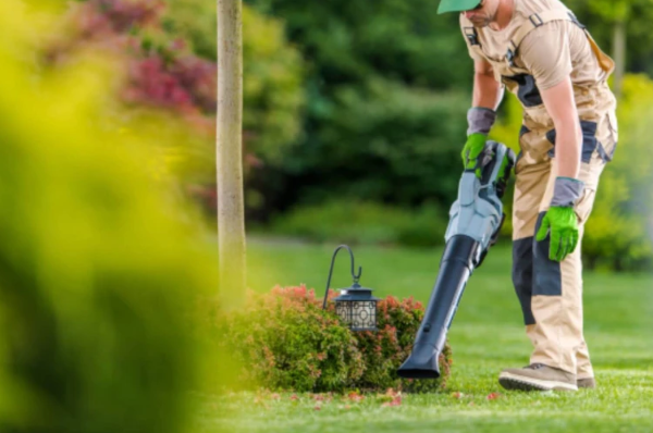 Yard Waste Removal Planning for Properties Preparing for New Outdoor Installations
