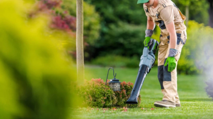 Yard Waste Removal Planning for Properties Preparing for New Outdoor Installations