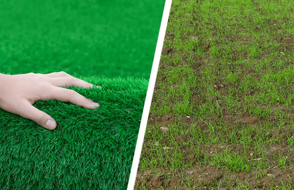 Artificial Grass vs Real Grass: What You Need to Know