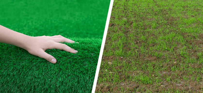 Artificial Grass vs Real Grass