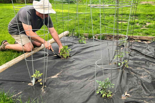 Evaluating Geotextile Fabric for Weed Control in Different Garden Settings